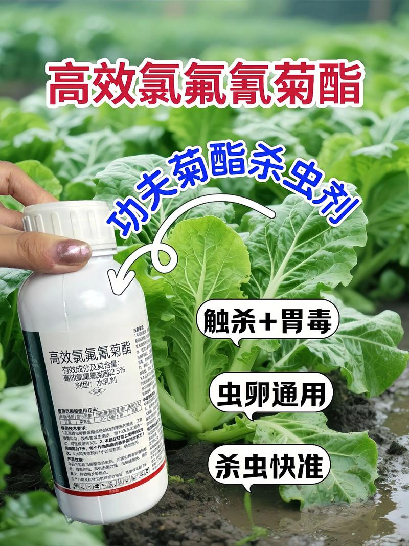 自贡代生中心:农药对供卵代生妈妈的危害